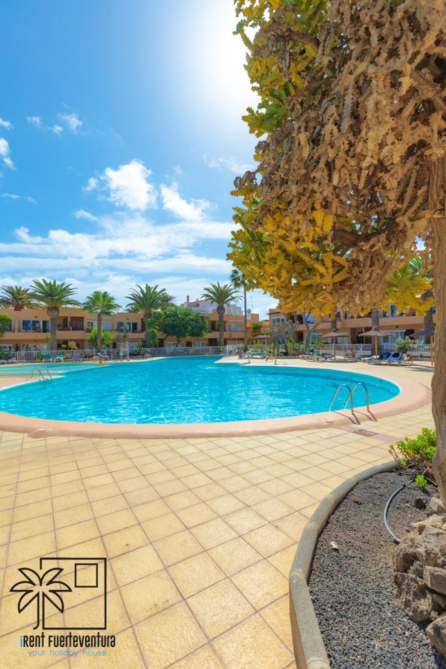 Apartament Hola Bent Pool And Terrace Irent Fuerteventura Corralejo Zewnętrze zdjęcie